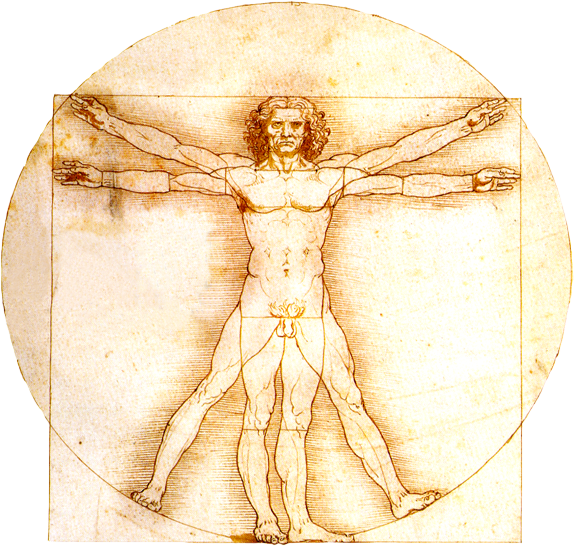 Gloria Else Crouch End Acupuncture Practice